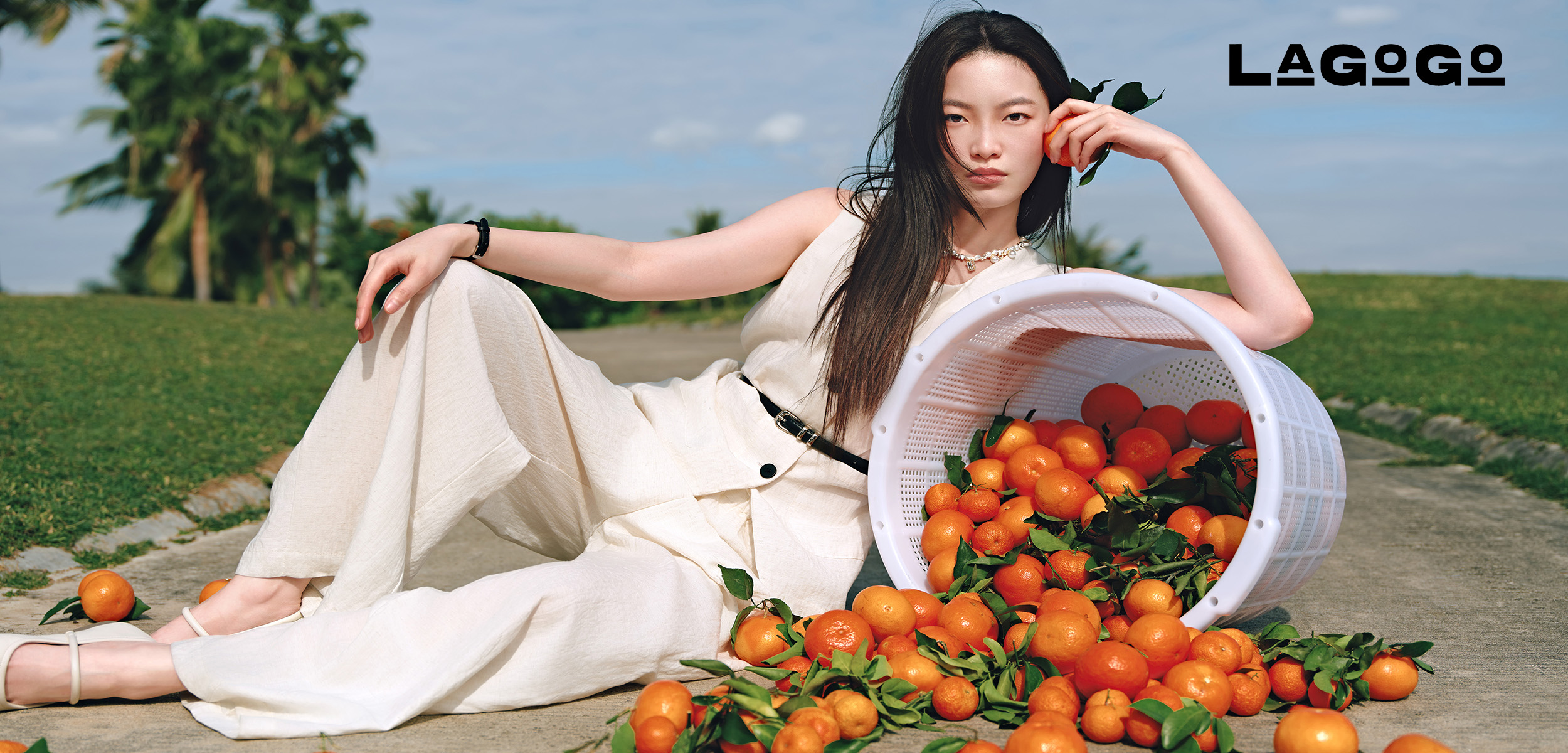 机杼
